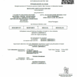 Suruhanjaya Tenaga MCB 1 - PHASE (MB63-1)